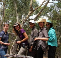 Echidna Walkabout Nature Tours