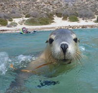 Calypso Star Charters - Accommodation Melbourne