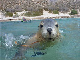 Calypso Star Charters - Accommodation Melbourne 0