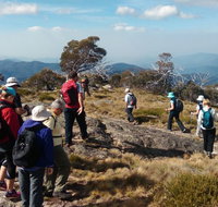 Hedonistic Hiking - Accommodation Melbourne