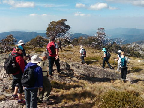Hedonistic Hiking - Accommodation Melbourne 0