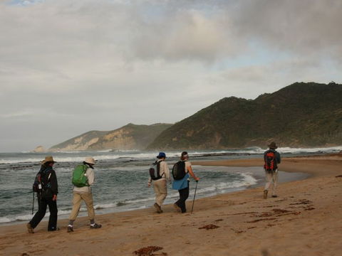 Hedonistic Hiking - Accommodation Melbourne 2