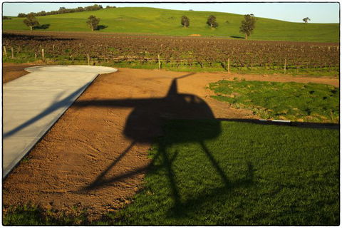 Barossa Helicopters Pty Ltd - Accommodation Melbourne 0