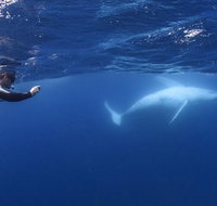 Sunreef Mooloolaba - Accommodation Melbourne