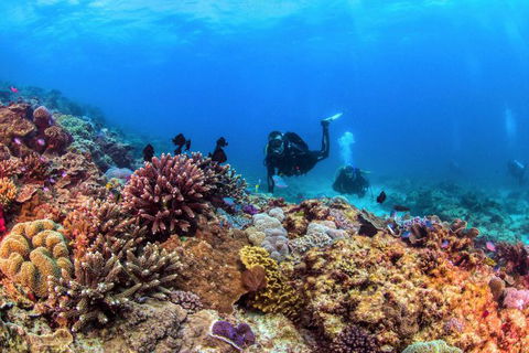 Sunreef Mooloolaba - Accommodation Melbourne 7
