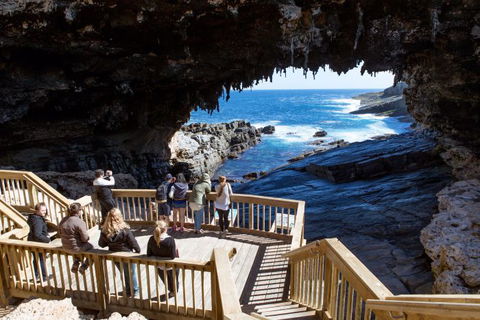 Kangaroo Island Odysseys - Accommodation Melbourne 23