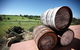 Childers Wine Trail - thumb 1