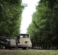 ODempseys Charters and Tours - Accommodation Melbourne