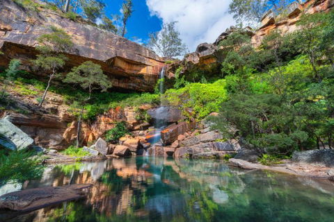 Dig The Tropic Four Day Drive - Accommodation Melbourne 2