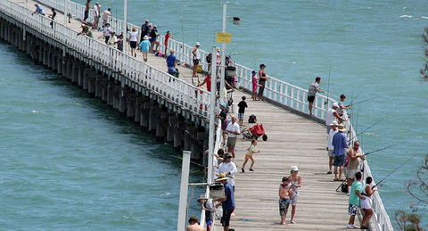 Fraser Coast Amazing Fishing Trails - Accommodation Melbourne 24