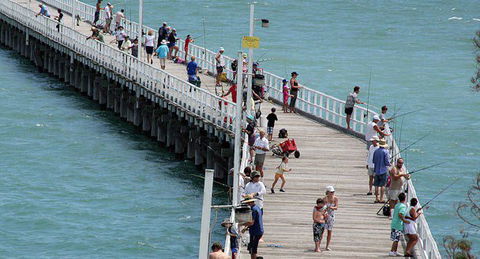 Fraser Coast Amazing Fishing Trails - Accommodation Melbourne 27