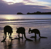 Beachcomber Cove Track - Accommodation Melbourne