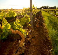 Kaesler Old Vine Vineyard Tour - Accommodation Melbourne