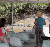 Whitsunday Crocodile Safari - Accommodation Melbourne