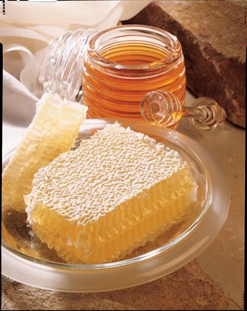 The Honey Place - Accommodation Melbourne 1