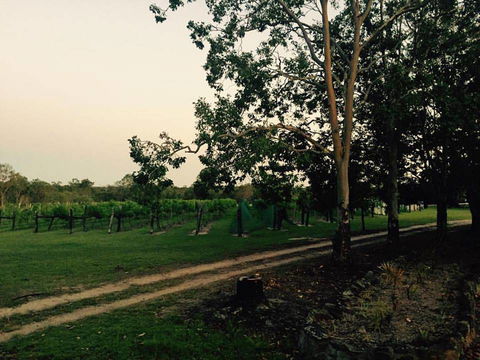 Brierley Wines - Accommodation Melbourne 0