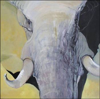 Bright Madge - Accommodation Melbourne 1