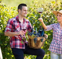 Two Tails Wines - Accommodation Melbourne