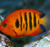 Cairns Marine - Accommodation Melbourne