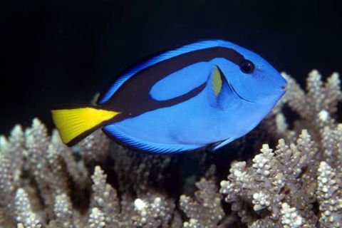 Cairns Marine - Accommodation Melbourne 2
