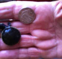 Hurleys Aquariums - Accommodation Melbourne