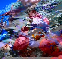 Tropical Marine Centre - Accommodation Melbourne