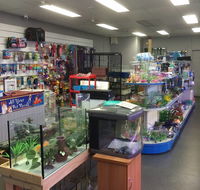 Nambour Pet Shop - Accommodation Melbourne