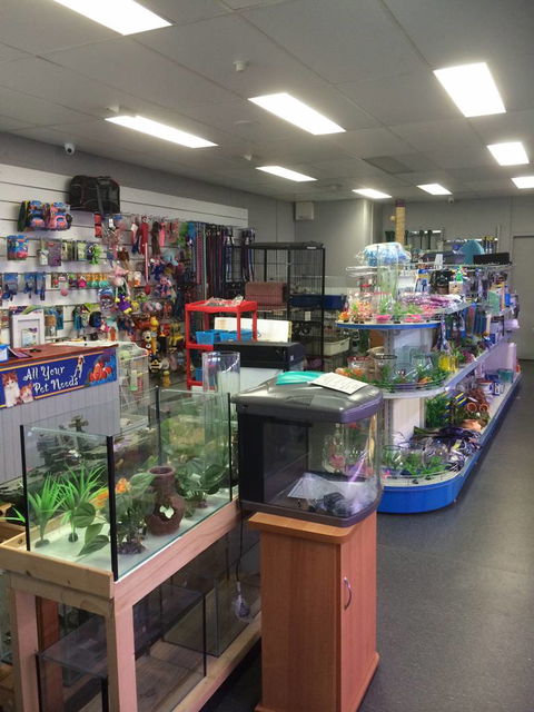 Nambour Pet Shop - Accommodation Melbourne 0