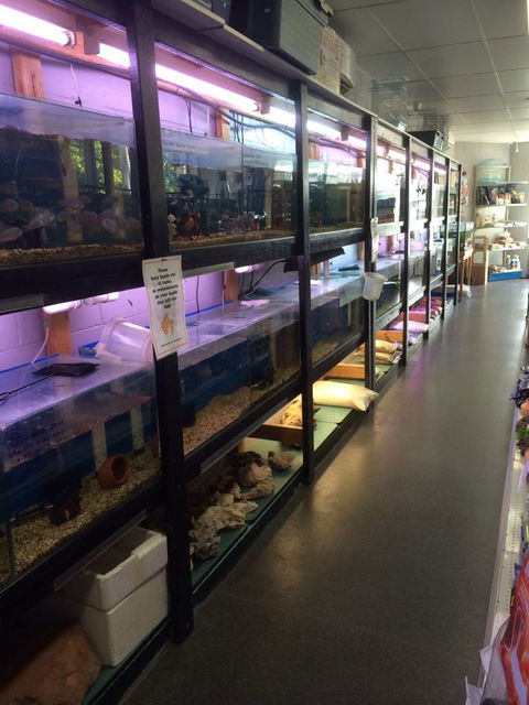 Nambour Pet Shop - Accommodation Melbourne 1