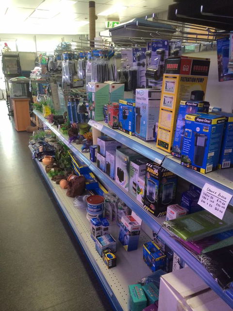 Nambour Pet Shop - Accommodation Melbourne 2