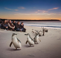 Down Under Thrills - Accommodation Melbourne