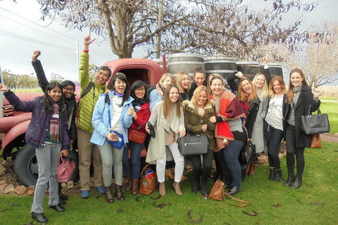 1/2 Day Swan Valley Wine Cheese & Chocolate Tour Inc Afternoon Cruise To Perth - Accommodation Melbourne 5