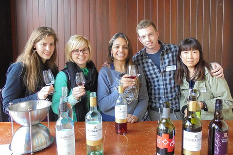 1/2 Day Swan Valley Wine Cheese & Chocolate Tour Inc Afternoon Cruise To Perth - Accommodation Melbourne 6