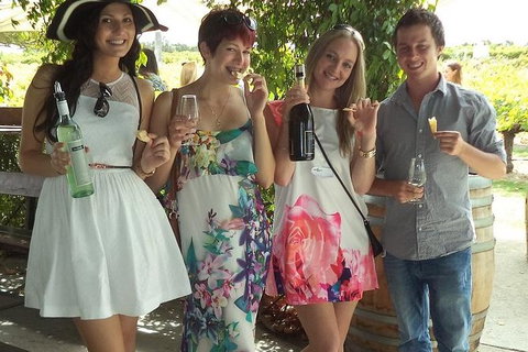 1/2 Day Swan Valley Wine Cheese & Chocolate Tour Inc Afternoon Cruise To Perth - Accommodation Melbourne 2