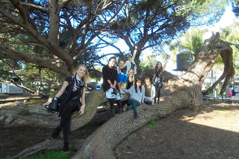 1/2 Day Swan Valley Wine Cheese & Chocolate Tour Inc Afternoon Cruise To Perth - Accommodation Melbourne 10