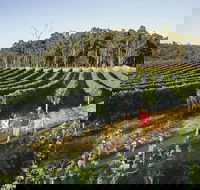 Margaret River Caves Wine and Cape Leeuwin Lighthouse Tour from Perth - Accommodation Melbourne