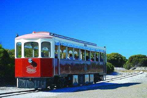Rottnest Island Grand Tour Including Lunch And Historical Train Ride - Accommodation Melbourne 6