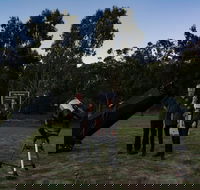 Stargazing Busselton with Mobile Observatory - Accommodation Melbourne