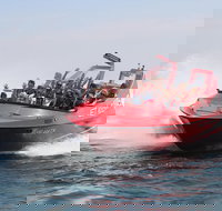 Dunsborough 30-Minute Jet Boat Ride - Accommodation Melbourne