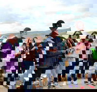 Margaret River Wine and Sights Discovery Tour from Busselton or Dunsborough - Accommodation Melbourne