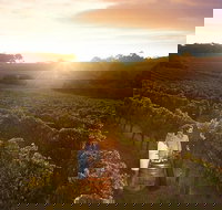 Leeuwin Estate Food and Wine Experience - Accommodation Melbourne