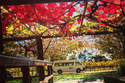 Ultimate Swan Valley Food And Wine Day Trip From Perth - Accommodation Melbourne 12