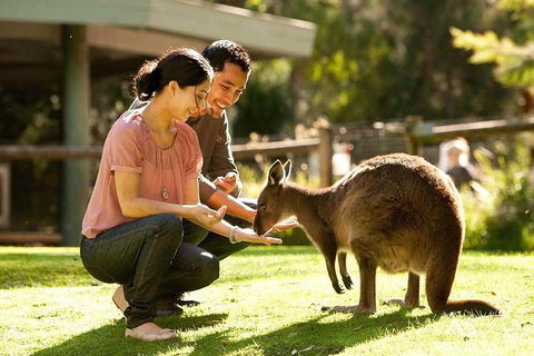 Very Best Of Perth Tour - Wildlife Park & City Highlights Tour - Accommodation Melbourne 0