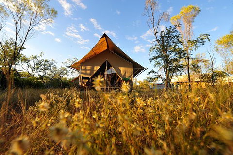 APT Kimberley Wilderness Adventures Purnululu (Bungle Bungle) 4WD Experience - Accommodation Melbourne 10