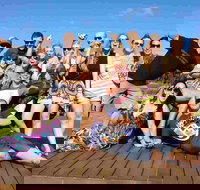 Margies Big Day Out Beer  Wine Tours - Accommodation Melbourne