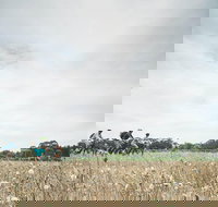 Electric Bike Winery and Brewery Tour - Accommodation Melbourne