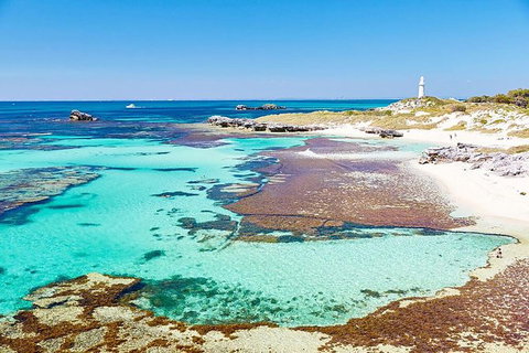 Rottnest Island Wild Seafood Package With Round Trip Ferry From Fremantle - Accommodation Melbourne 3