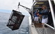 Rottnest Island Wild Seafood Package With Round Trip Ferry From Fremantle - thumb 5