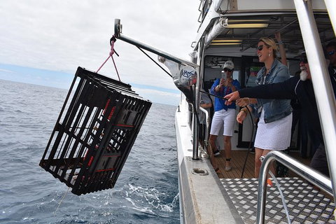 Rottnest Island Wild Seafood Package With Round Trip Ferry From Fremantle - Accommodation Melbourne 5