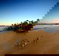 Phillip Island Ultimate Penguin Eco Tour or Skybox Experience - Accommodation Melbourne